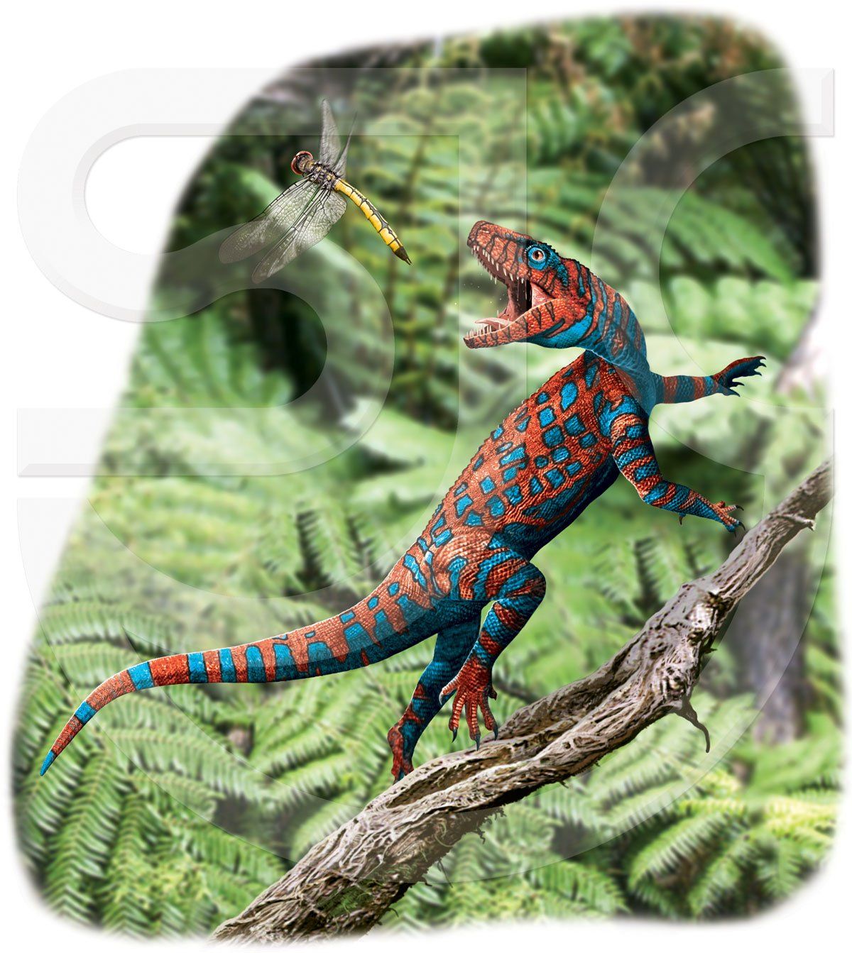 Euparkeria dinosaur or 'Parker's Original Lizard' is a middle triassic small reptile about the size of an average domestic cat. This reptile was one of the earliest ones to walk on its back legs, though it may not have done so all of the time, and it was able to run at a fast speed. Colourful painting of this prehistoric creature quickly moving up a branch, snapping at a dragonfly. Realistic digital illustration.