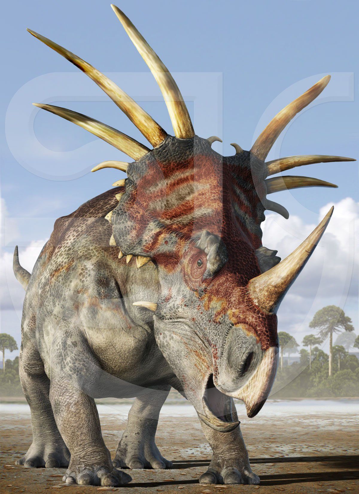 Realistic digital painting of a Cretaceous herbivorous dinosaur with long pointed head armour walking towards you in prehistoric landscape. This 'spiked lizard' prehistoric creature had one of the most impressive head displays of any ceratopsian (horned, frilled dinosaur). Realistic natural history scientific illustration.