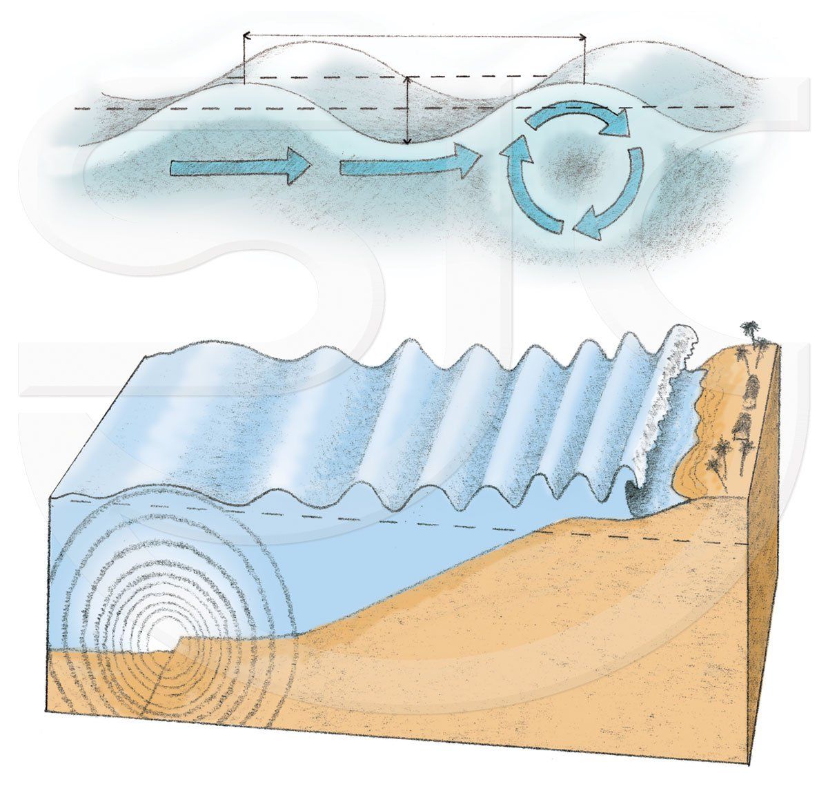 Stylised diagrammatic natural science illustration showing how a tsunami is formed, a 3D cutaway view of the ocean floor with moving tectonic plates and waves forming towards land. Above this the second diagram shows the direction the waves move and roll. Colourful pencil sketch with textured crayon colour.