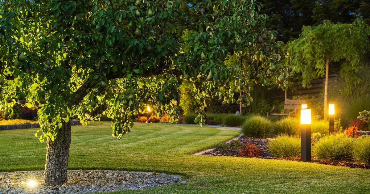 Outdoor lighting garden installations