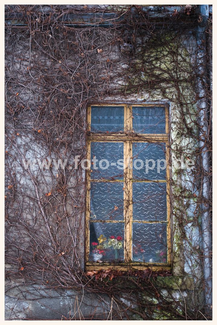 Die Natur kehrt zurück, Fotografie: Andreas Stopp