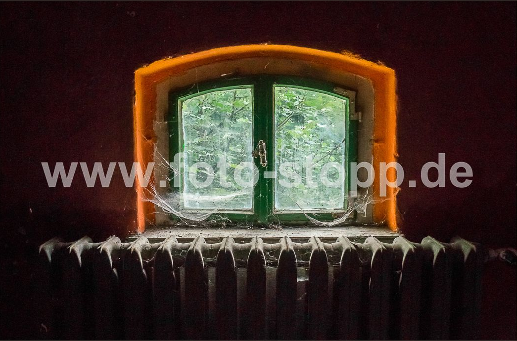 Die Natur kehrt zurück Fotografie: Andreas Stopp