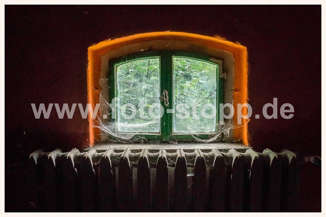 Die Natur kehrt zurück, Fotografie: Andreas Stopp