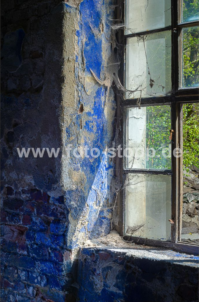 Die Natur kehrt zurück Fotograf: Andreas Stopp