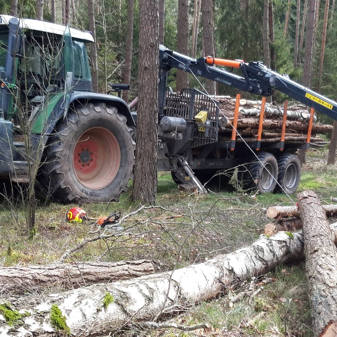 Mit dem Rückewagen führen wir Forstdienstleistungen durch. Hier wurde eine Fuhr Holz aufgeladen.