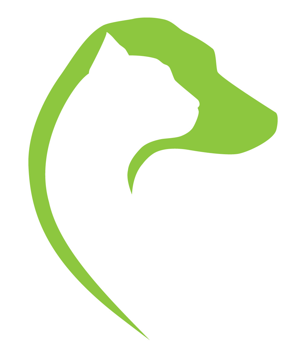 Natürlich auf vier Pfoten