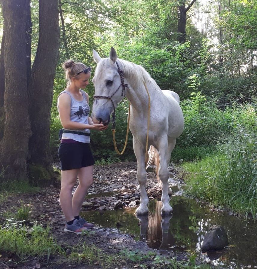 Laura-schott-trainerin-fuer-gesundes-reiten-lavallo