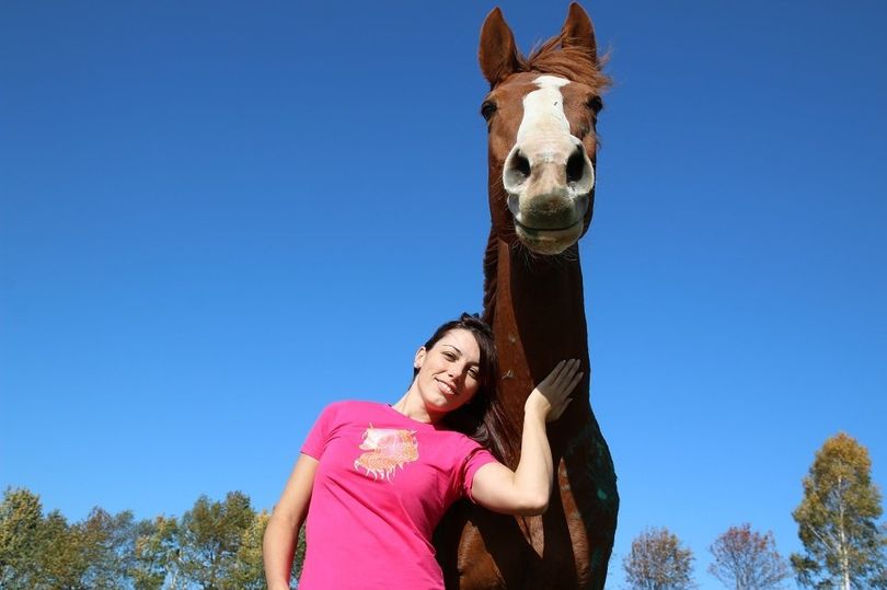 Fantasy Horse - Sunny und Milena Strasikova Fantasy Horse - Sunny und Milena Strasikova