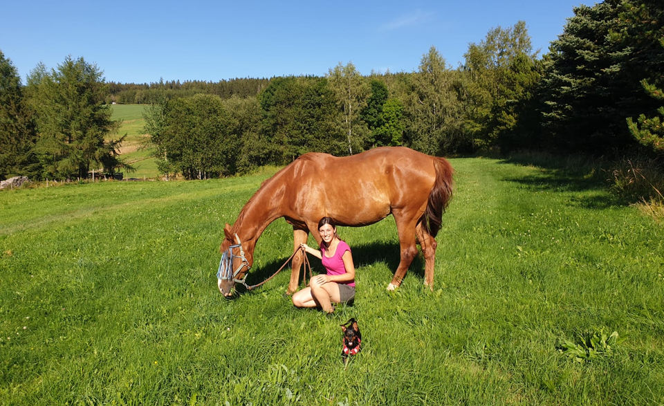Sunny und Eli beim ersten Training pferd-und-hund-kennenlernen-pferdeblog-fantasy-horse