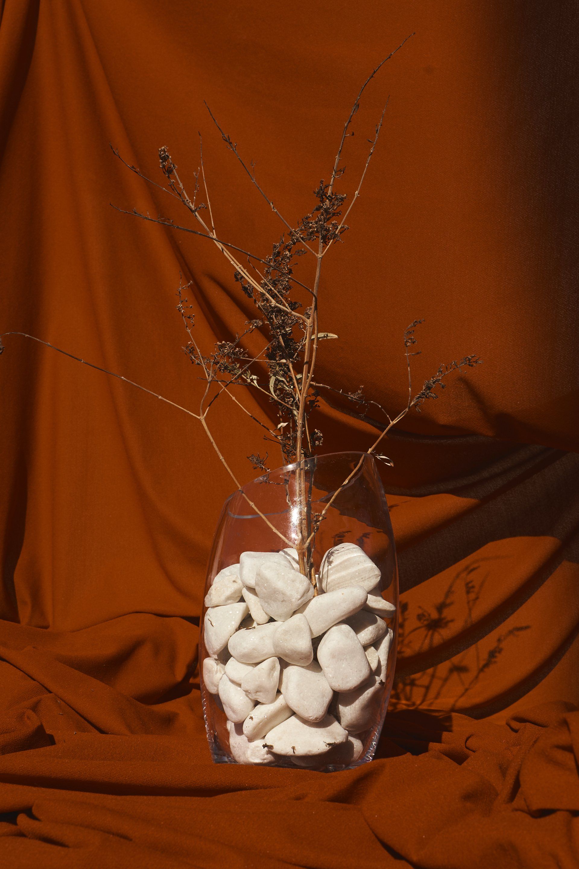 Probabilidad Still Alive