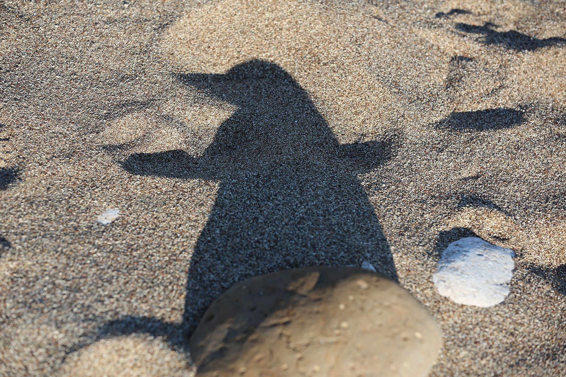 „Everyday Sculpture no. 13“ (The Penguin) by Sebastian Bieniek (B1EN1EK), 2014, Türkiye. Edition of 9 original photographs. „Everyday Sculpture no. 13“ (The Penguin) by Sebastian Bieniek (B1EN1EK), 2014, Türkiye. Edition of 9 original photographs.