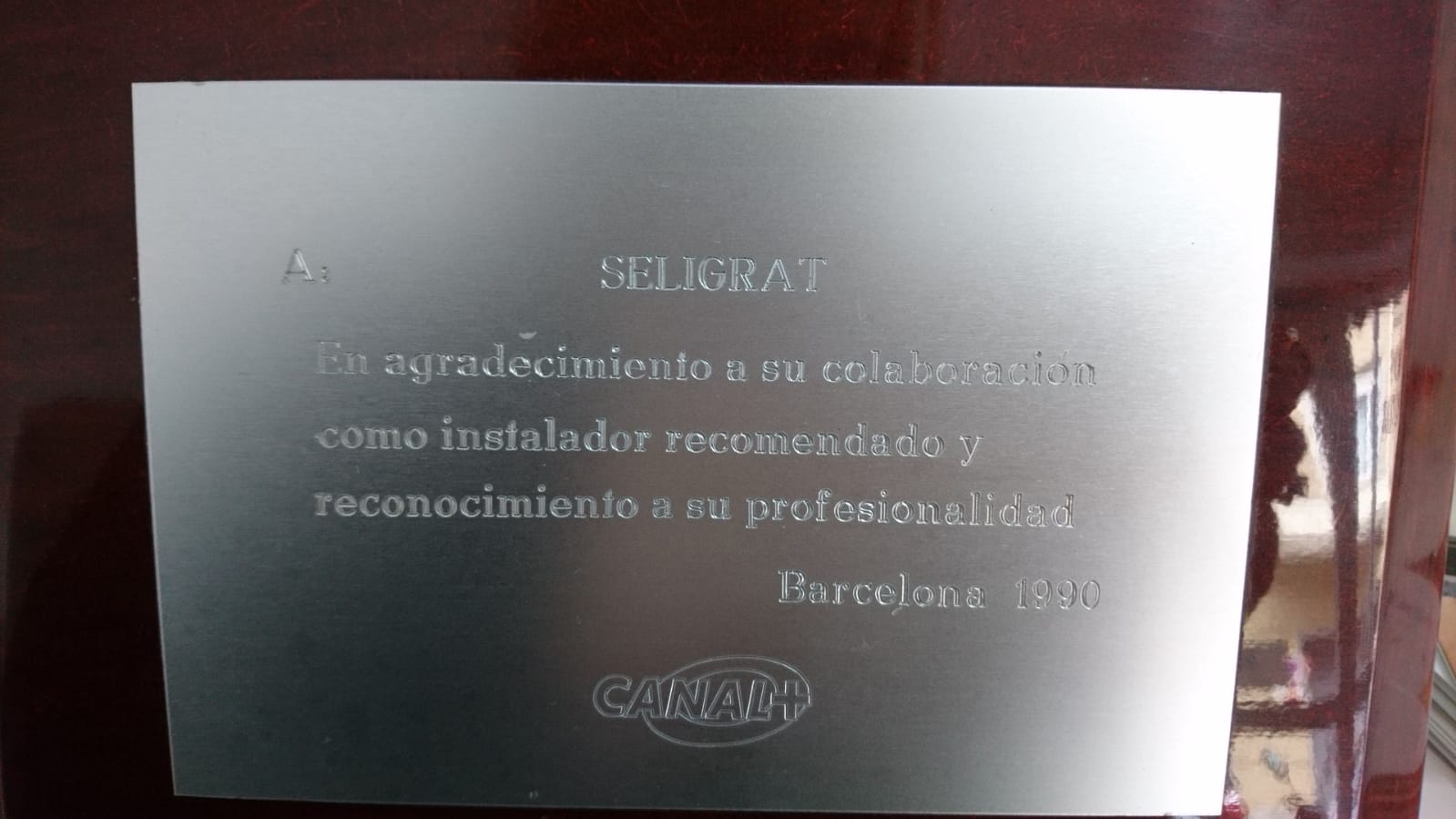 Profesionales del sector. Federados y con registro