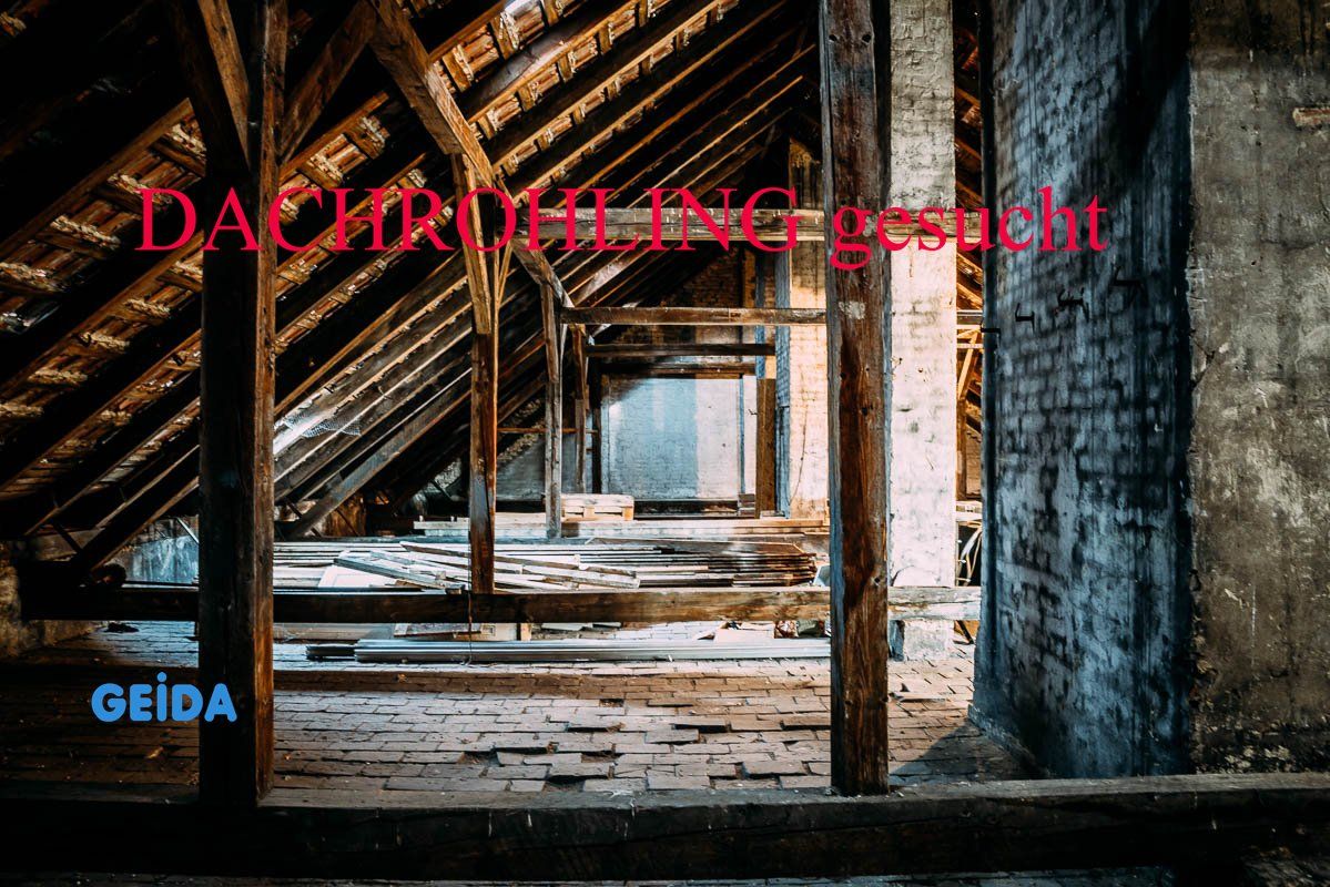 Für eine Vielzahl von Kaufinteressenten suchen wir Dachrohlinge in fast allen Bezirken von Berlin. GEIDA Projektentwicklung