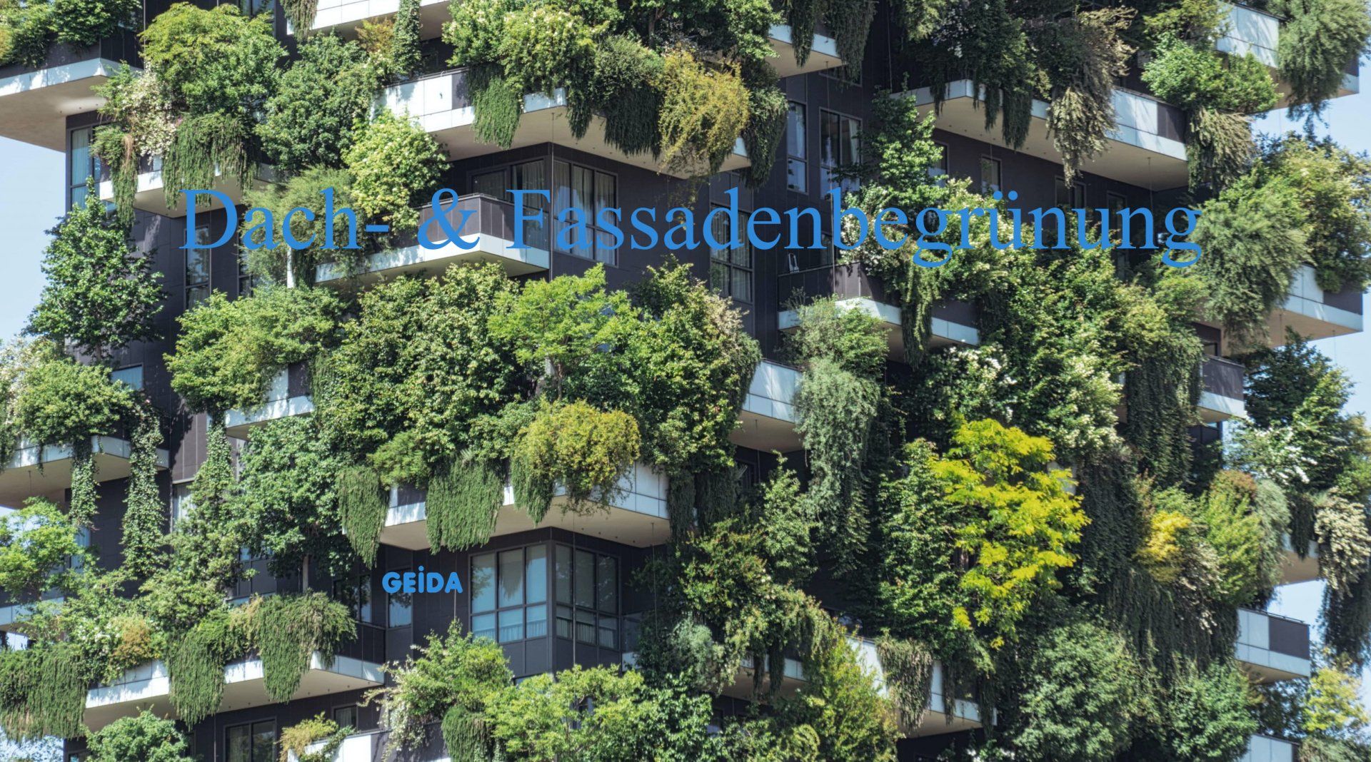Dachbegrünung , Fassadenbegrünung und Innenhofbegrünung beim Dachausbau als Ausgleichsmaßnahme für die GFZ Überschreitung, wofür wir den qualifizierten Außenanlagenplan fertigen. GEIDA Projektentwicklung