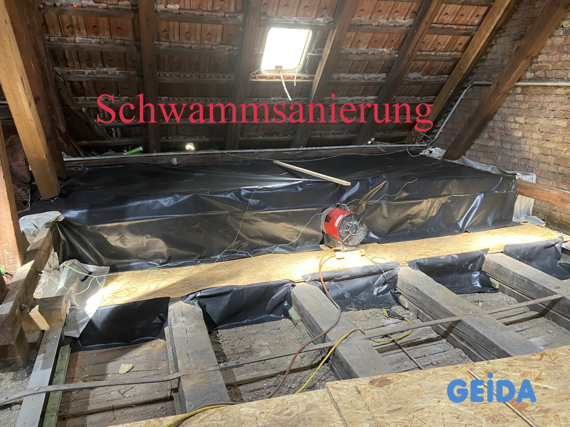 Schwammsanierung * Echter Hausschwamm * beim Dachausbau; die  befallenen Bereiche werden eingehaust und thermisch mit 60 Grad gemäß DIN 68800-4 behandelt. GEIDA Projektentwicklung