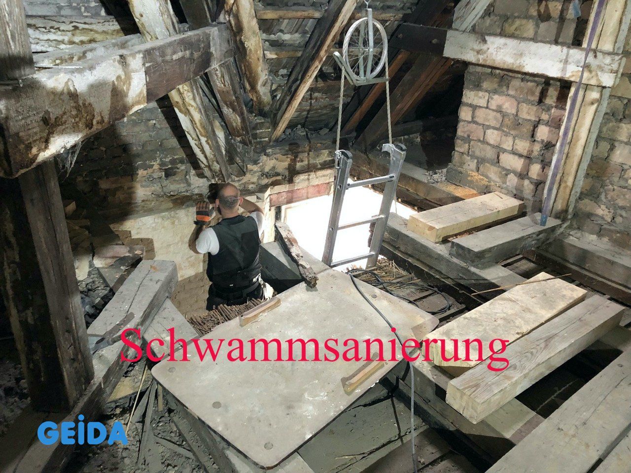 Schwammsanierung  * Echter Hausschwamm * beim Dachausbau mit thermischer Behandlung gemäß DIN 68800-4. GEIDA Projektentwicklung