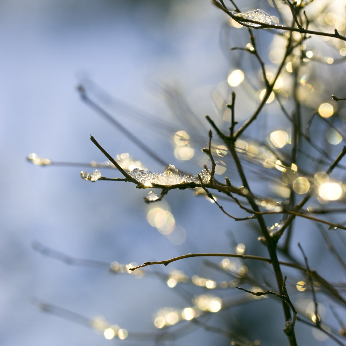 Kinder spielen im Matsch
