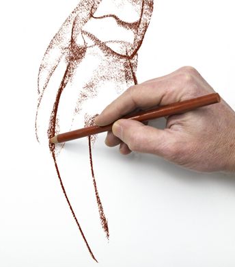 hand drawing with a  sepia coloured pencil