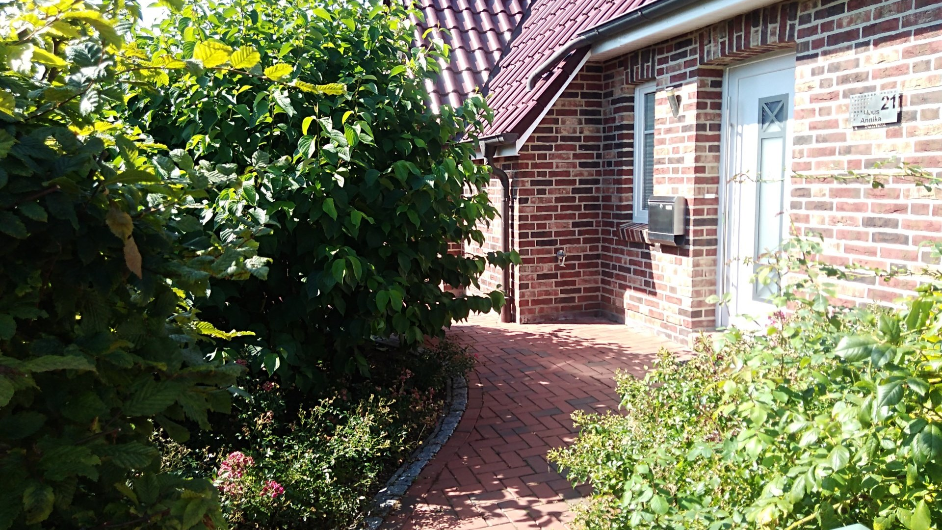 Haustür mit Hecken Landhaus Annika Greetsiel