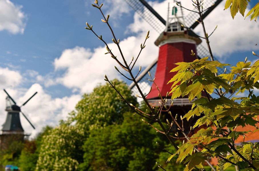 Roter Galerieholländer der Zwillingsmüheln in Greetsiel
