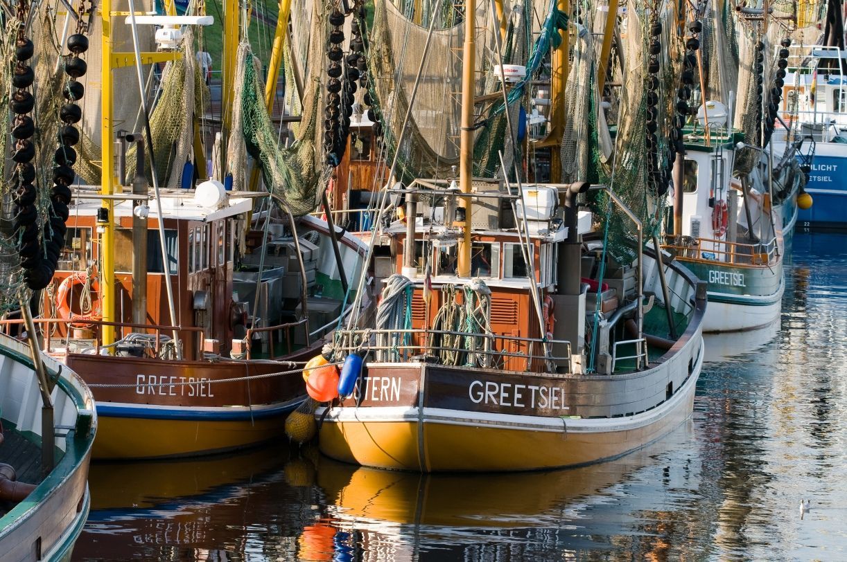 Hafen Greetsiel mit vielen Krabbenkuttern nebeneinander liegend