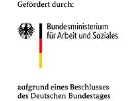 Logo BMI