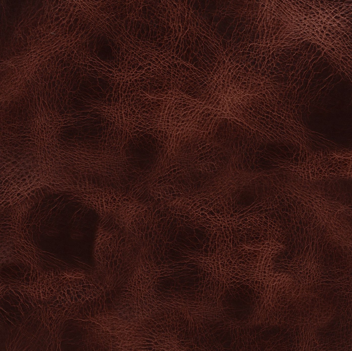 Versiegeltes Büffelleder für Lederwand und Bodenflächen