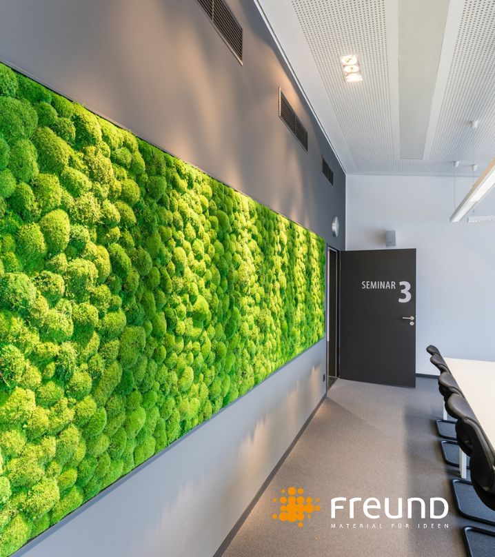 Moos Wandverkleidungen und Moosbilder online kaufen.