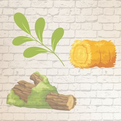 Mooswände und Naturflächen - Naturtapeten