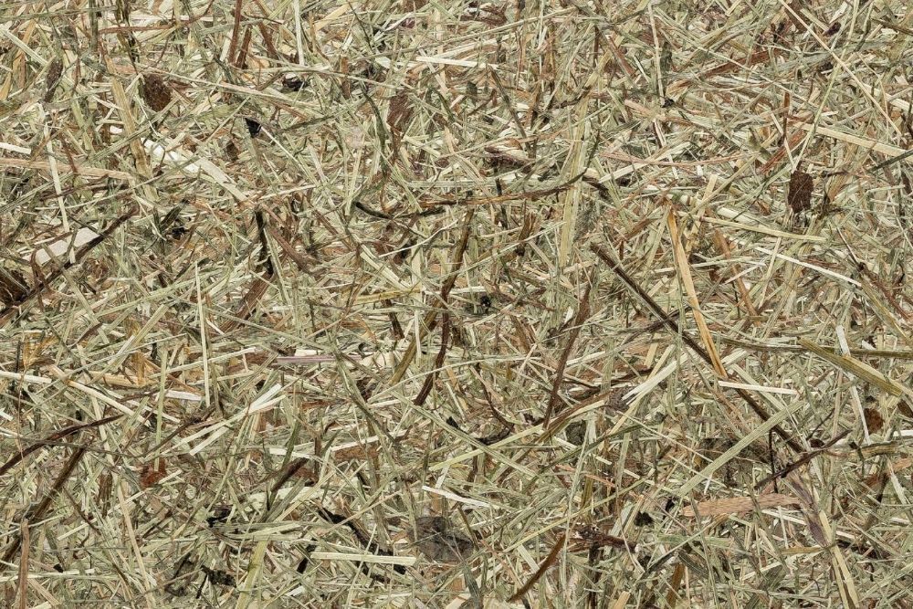 Organoid Wildspitze Almheu Naturtapete für Biophiles Design