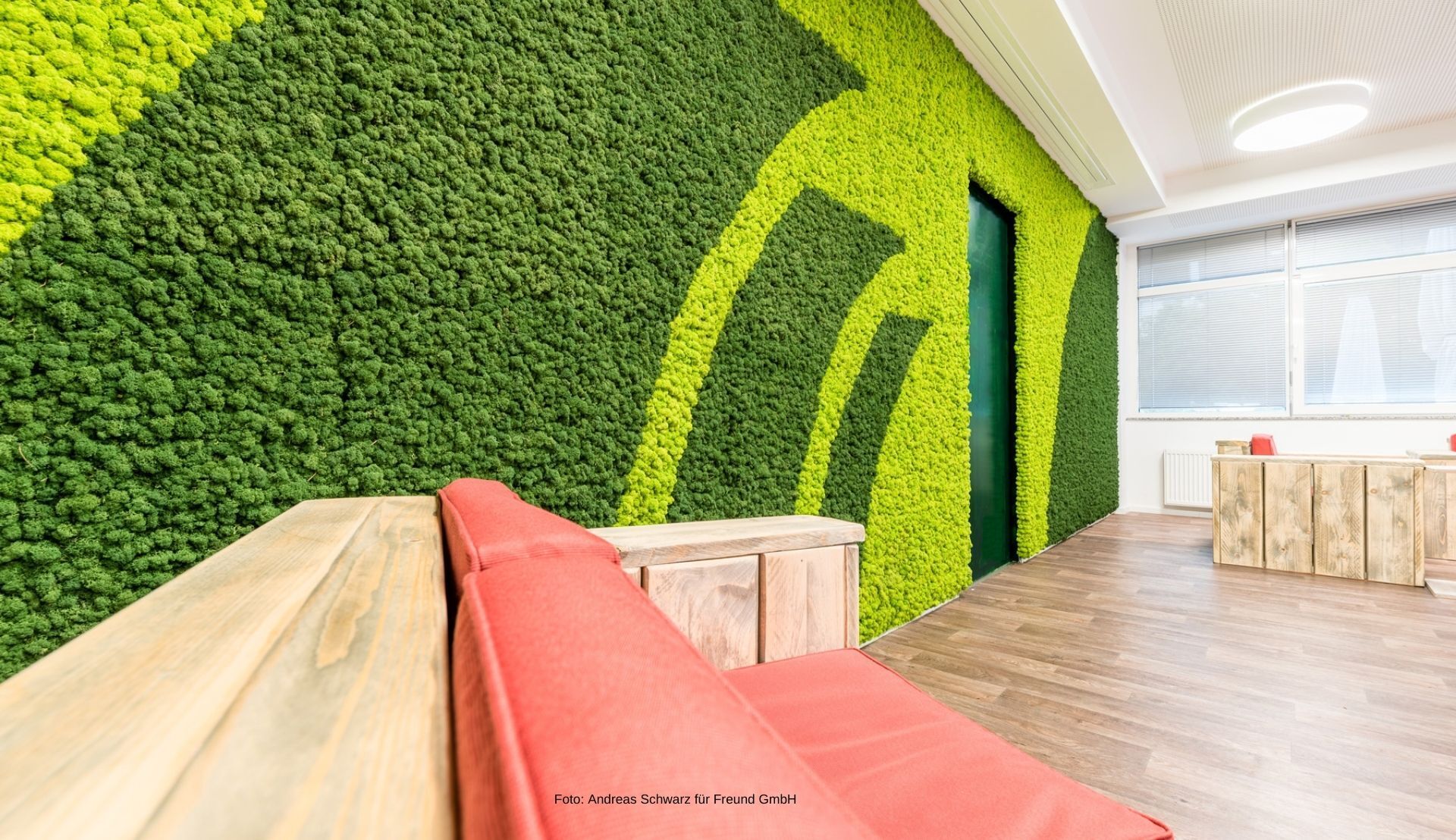 Pflegefreies Islandmoos Wandgestaltung