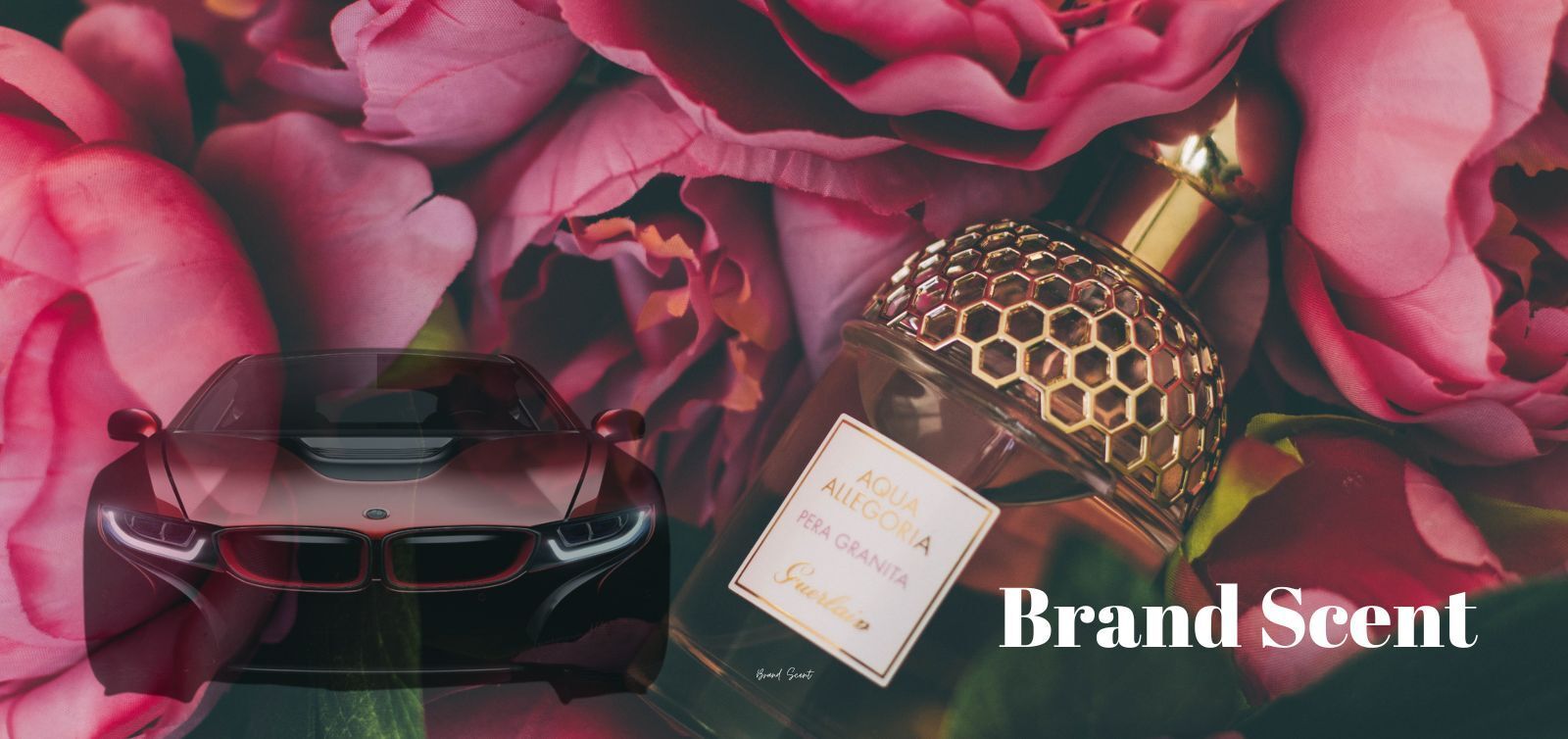 Duftmarketing - Markendüfte - Duft Kommunikation - Architekturbeduftung