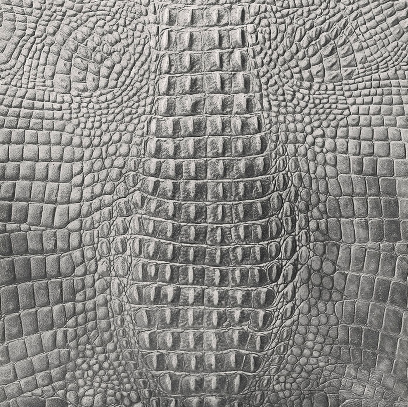 Graues Büffelleder mit Kroko Prägung für Leder- Wandverkleidung und Lederboden