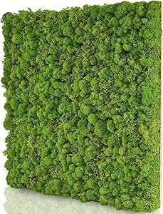 Moospaneele für WC-Sitzungen wie im Wald Moospaneele - Für ein Badezimmer wie im Wald