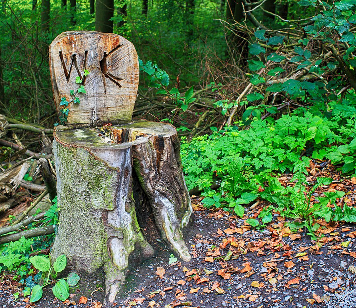 Naturverbunden (c) Bernd auf Pixabay