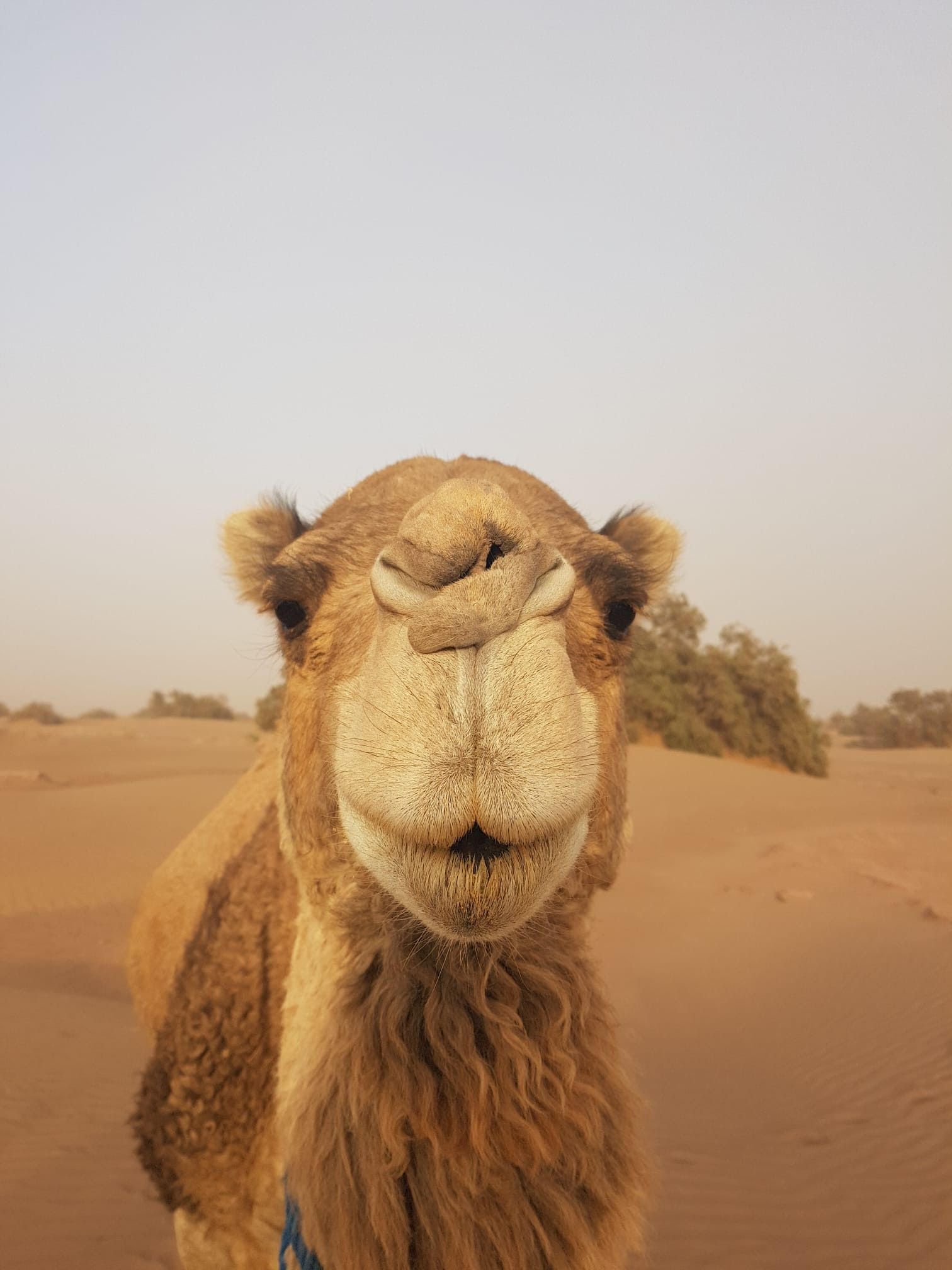 Retraite au Maroc l'essen'ciel