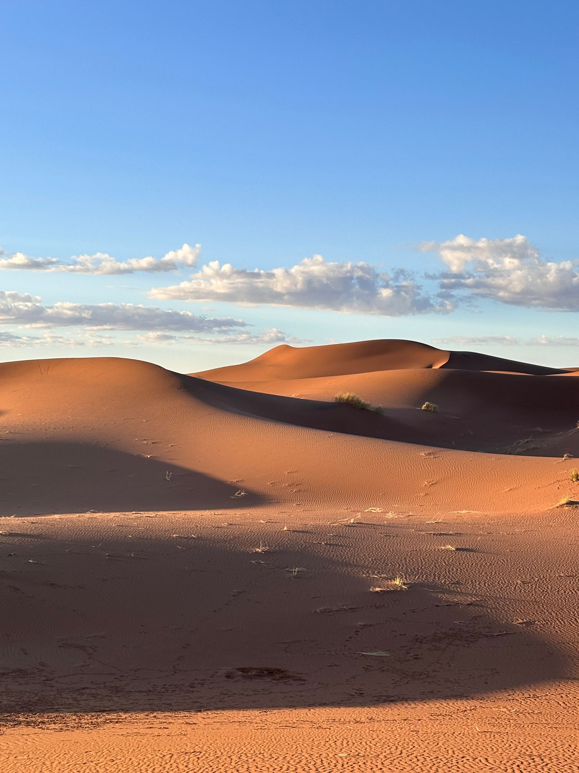 Retour à l'Esse'Ciel - Trek au Maroc Stéphanie Courty, Thérapeute Holistique, Kundalini, Énergétique, Trek au Maroc