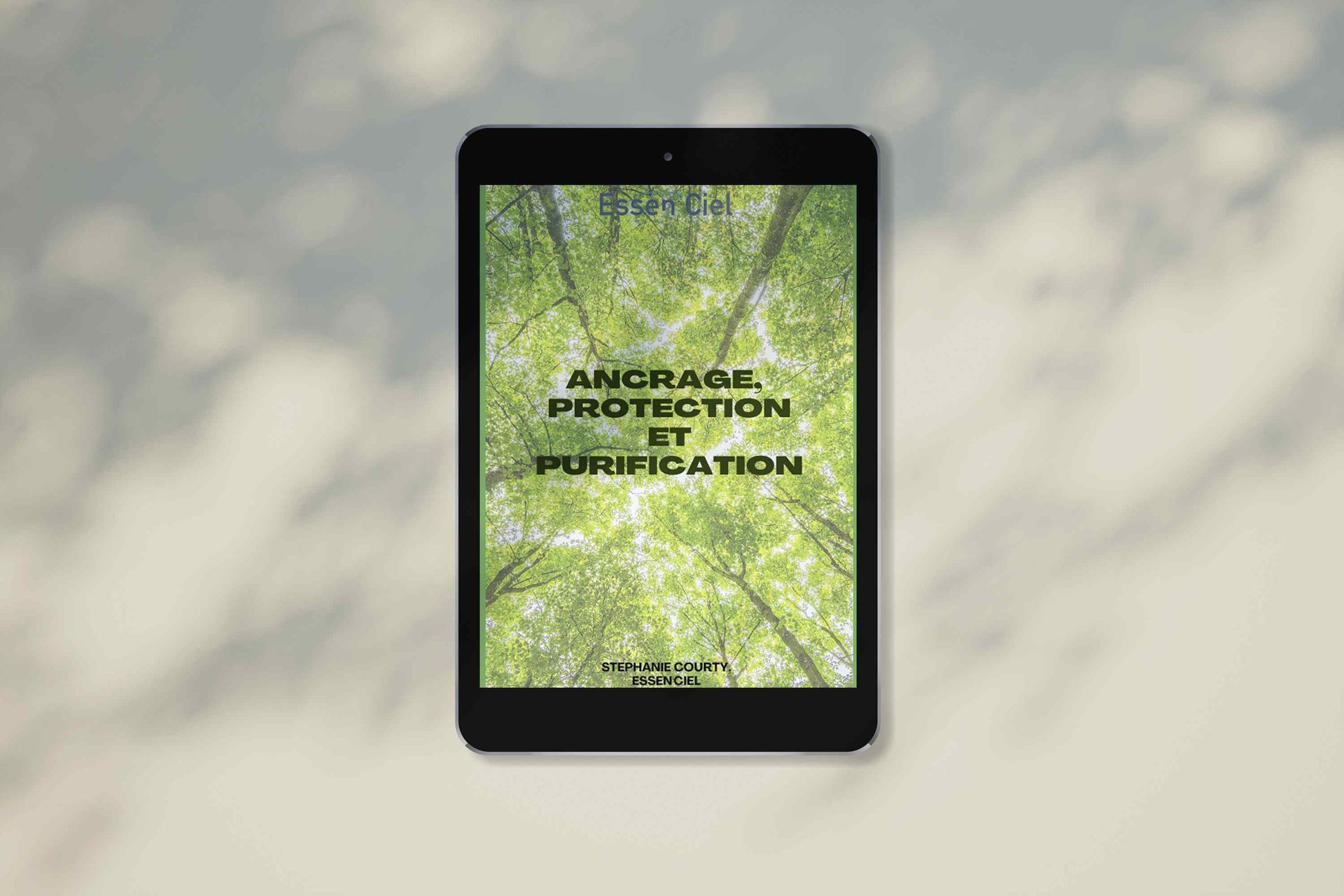 Ebook Ancrage, protection et purification