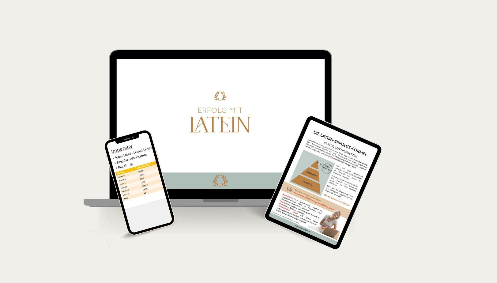 Latein-Erfolgs-Fahrplan Mock-Up Latein-Erfolgs-Fahrplan