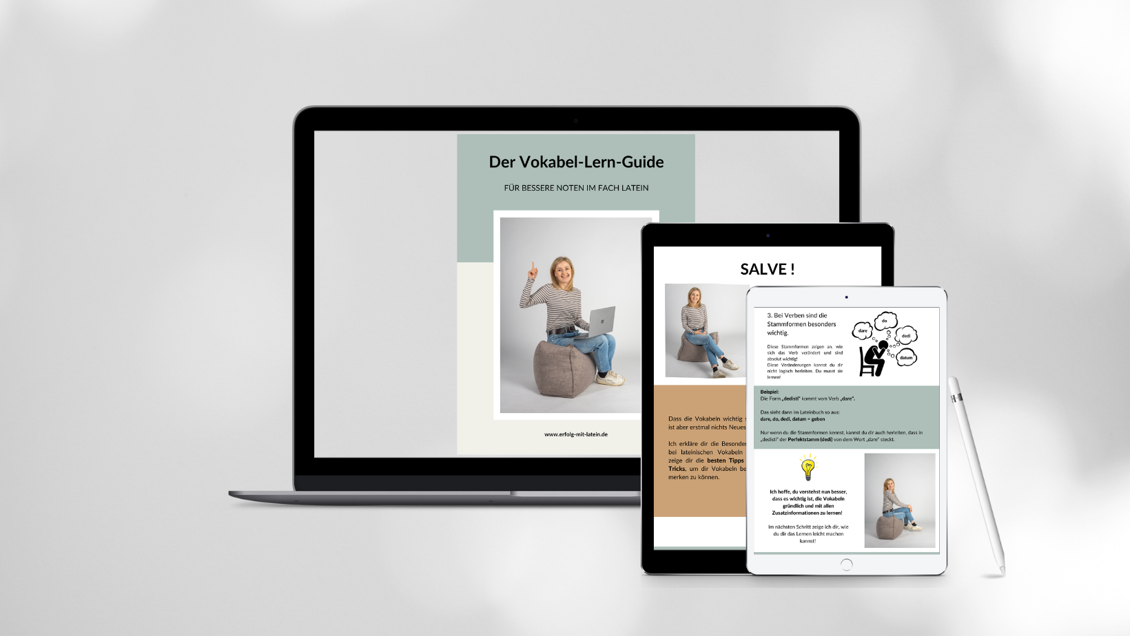Latein-Erfolgs-Fahrplan Mock-Up Latein-Erfolgs-Fahrplan
