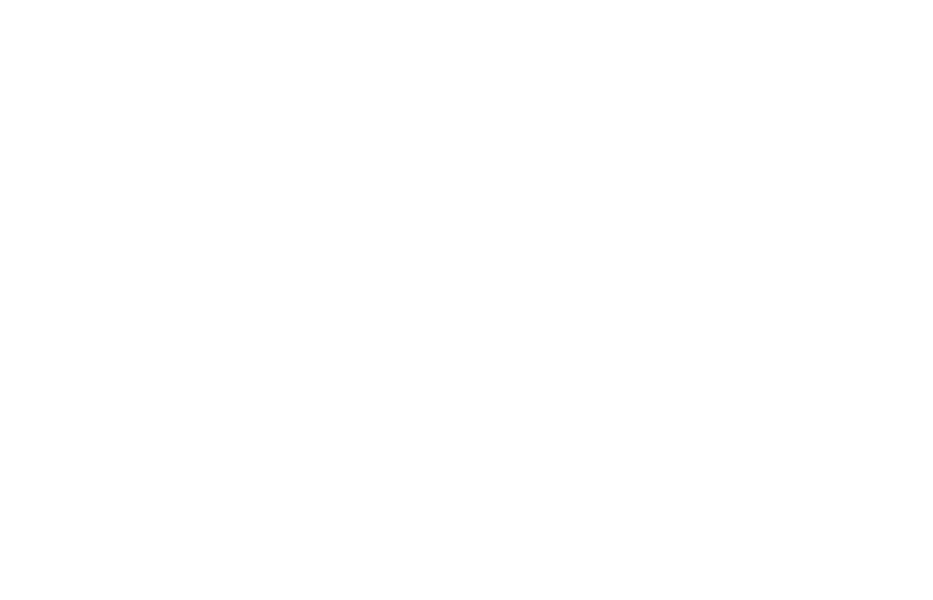 Europeinmotion