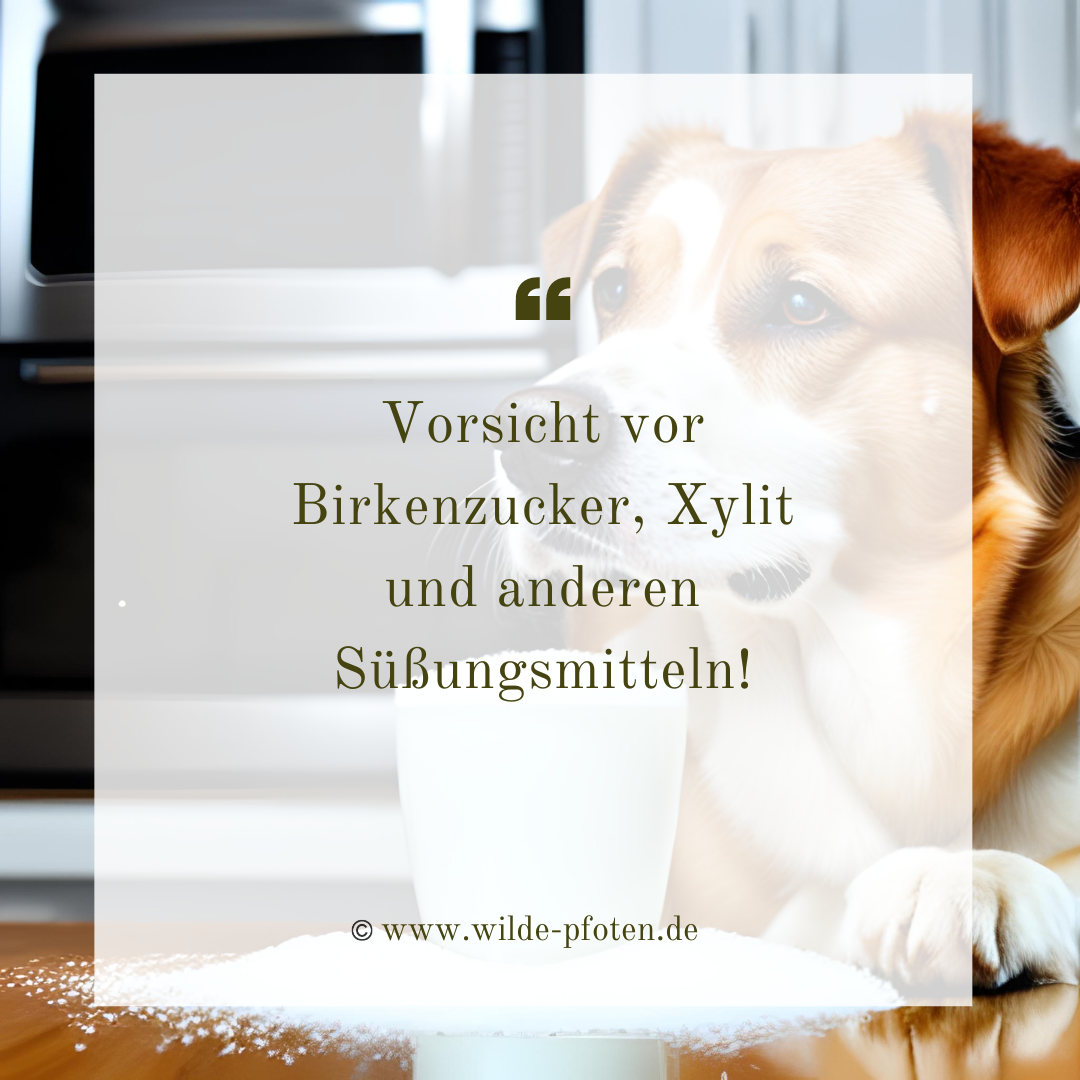 Vorsicht vor Birkenzucker, Xylit und anderen Süßungsmitteln!