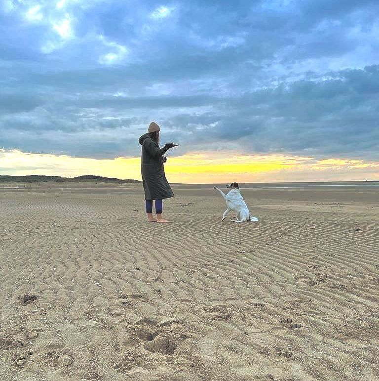 Hund winken beibringen. Hundetricks am Strand