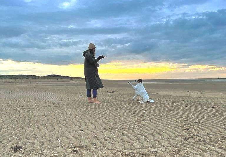 Hund winken beibringen. Hundetraining am Strand. Hundetraining am Meer.