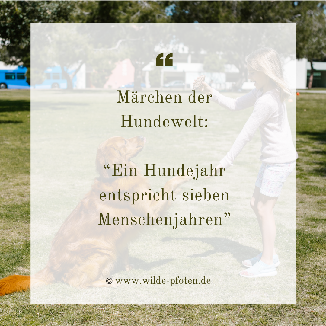 Märchen der Hundewelt: