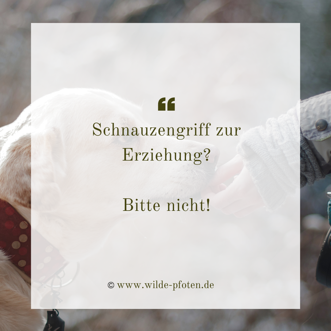 Schnauzengriff zue Erziehung? Bitte nicht. Schnauzengriff als Erziehungsmethode. Kritik zum Schnauzengriff