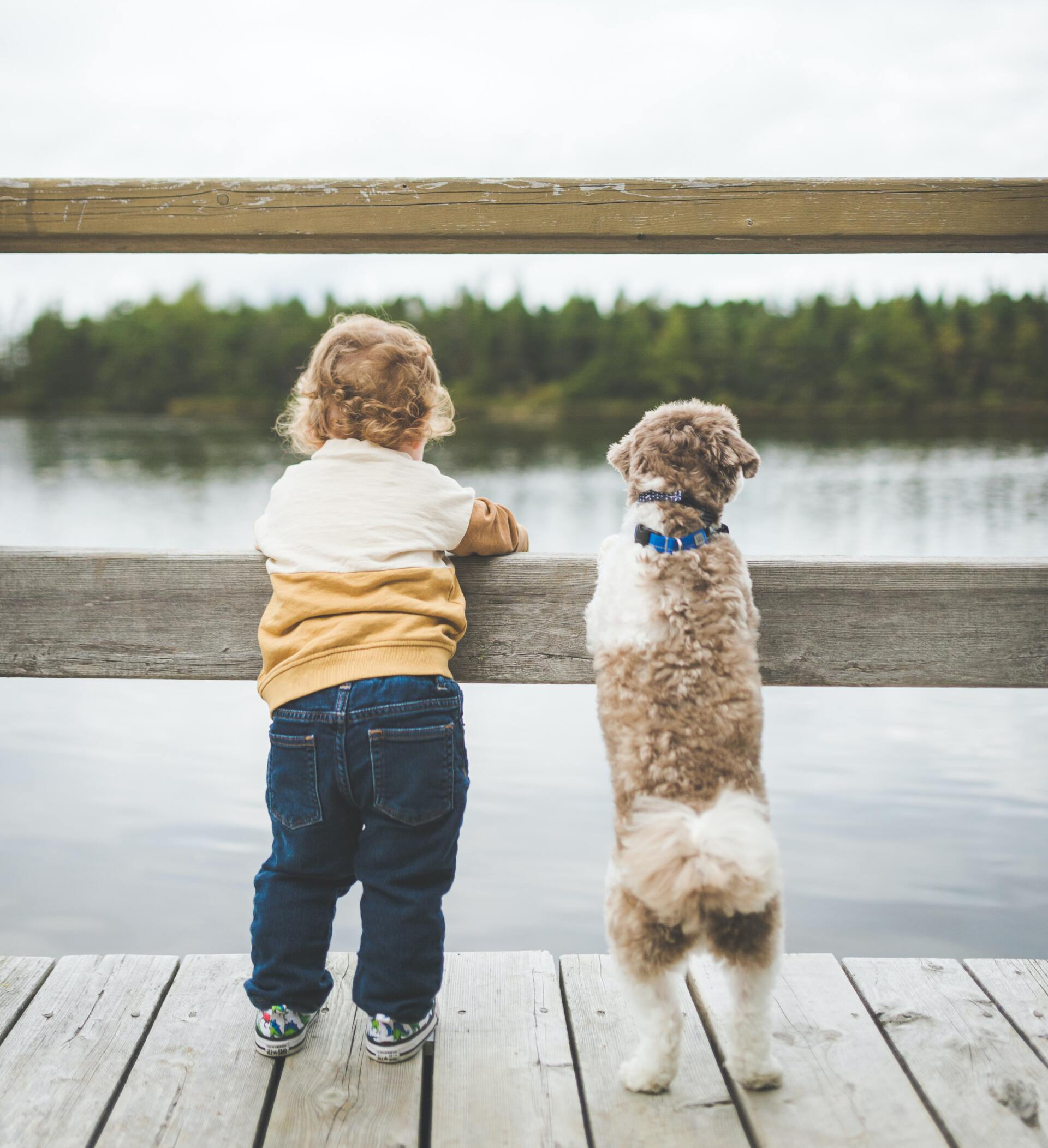 Kind und Hund stehen an einem Zaun vor einem See