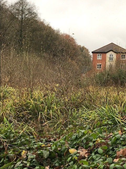 looking back to the flats.