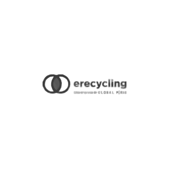 Erecycling logo