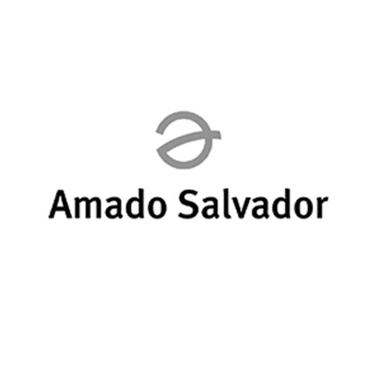 Amado Salvador logo www.amadosalvador.es/